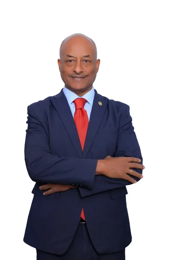 Wondwossen G. Teklemichael